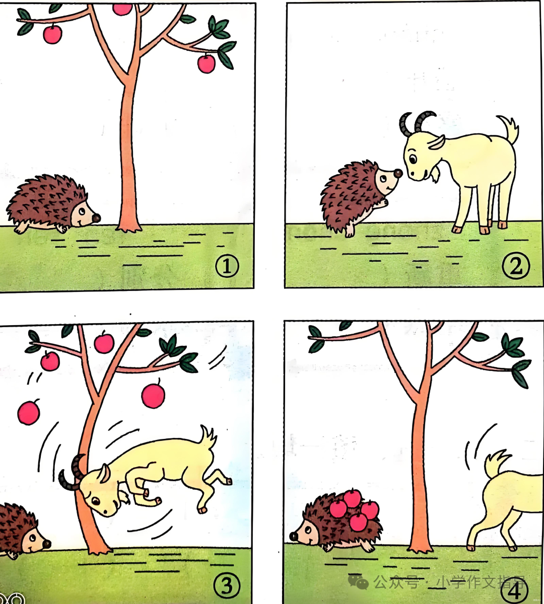 看图写话——小刺猬摘苹果