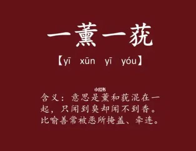 һ޹һݵĳ¡˼
